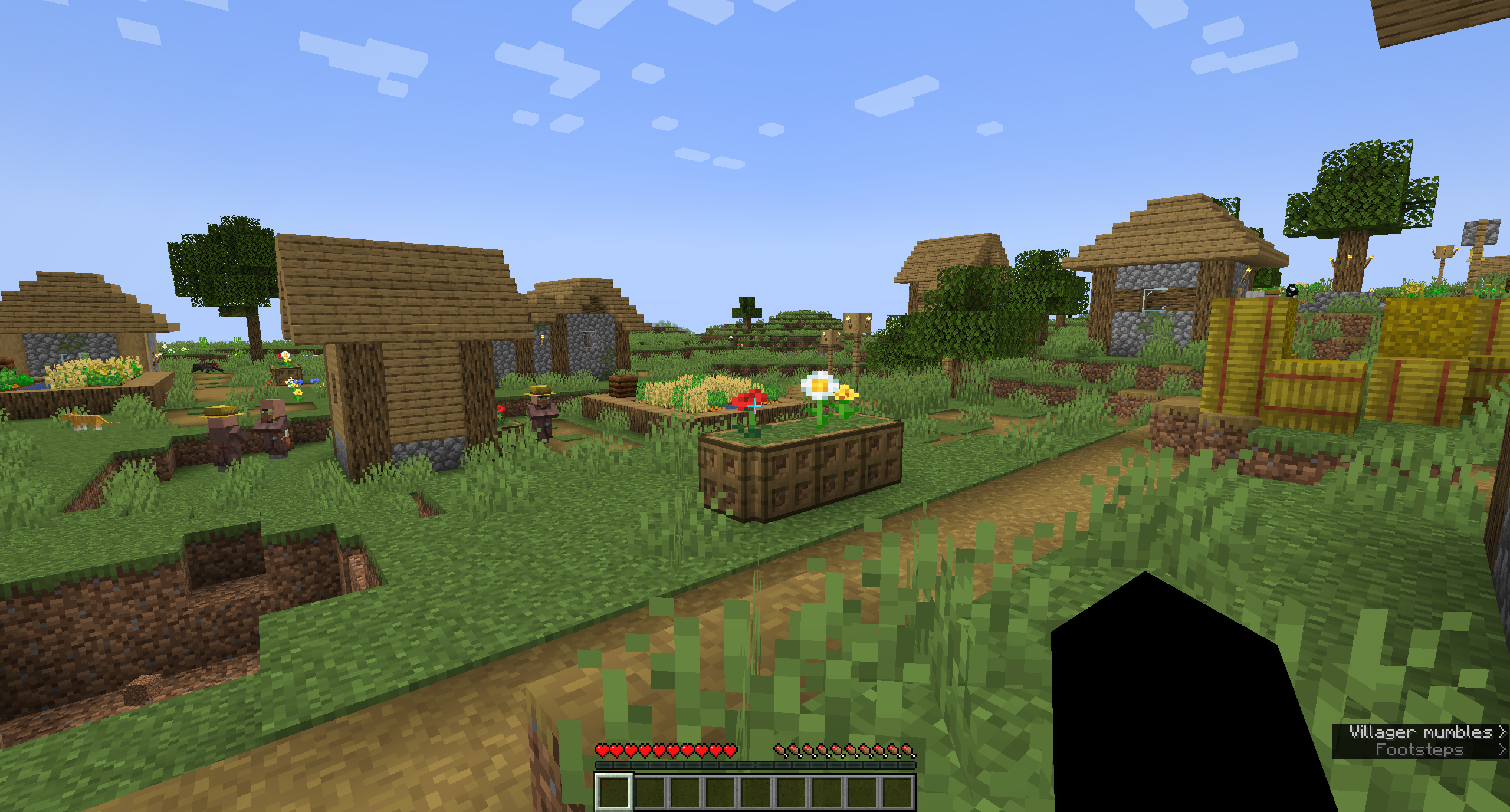 Server Image 1